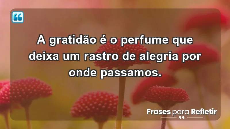 - A gratidão é o perfume que deixa um rastro de alegria por onde passamos.