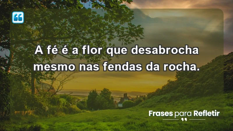 - A fé é a flor que desabrocha mesmo nas fendas da rocha.