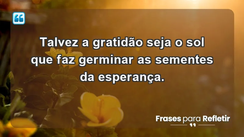 Para inspirar a gratidão diária - Talvez a gratidão seja o sol que faz germinar as sementes da esperança.