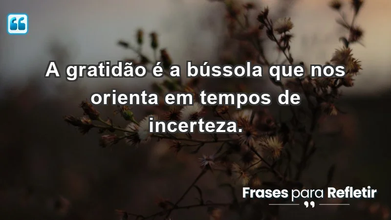 - A gratidão é a bússola que nos orienta em tempos de incerteza.