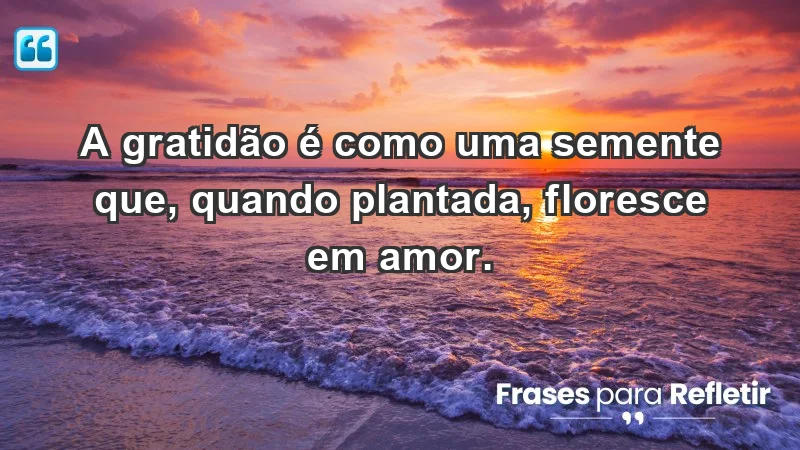 - A gratidão é como uma semente que, quando plantada, floresce em amor.