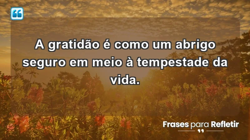 - A gratidão é como um abrigo seguro em meio à tempestade da vida.