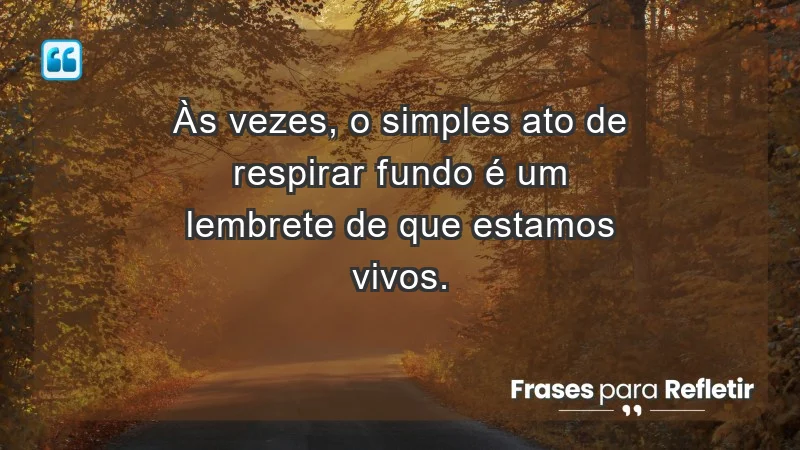 Para inspirar a gratidão diária - Às vezes, o simples ato de respirar fundo é um lembrete de que estamos vivos.