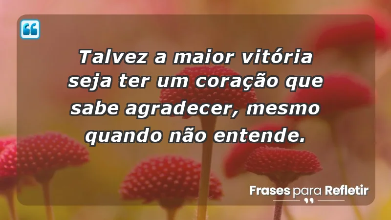 Para inspirar a gratidão diária - Talvez a maior vitória seja ter um coração que sabe agradecer, mesmo quando não entende.