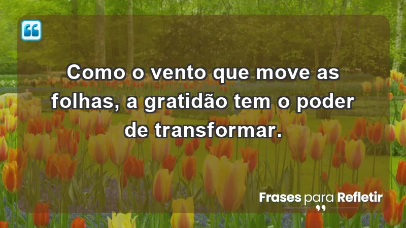 Para inspirar a gratidão diária - Como o vento que move as folhas, a gratidão tem o poder de transformar.