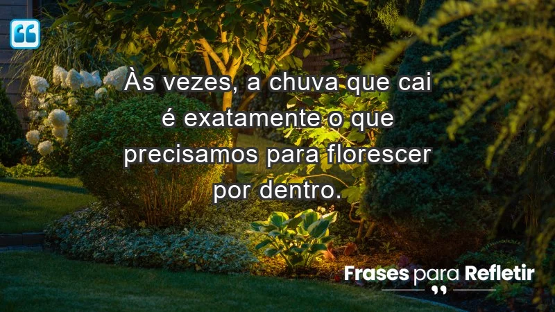 Para inspirar a gratidão diária - Às vezes, a chuva que cai é exatamente o que precisamos para florescer por dentro.