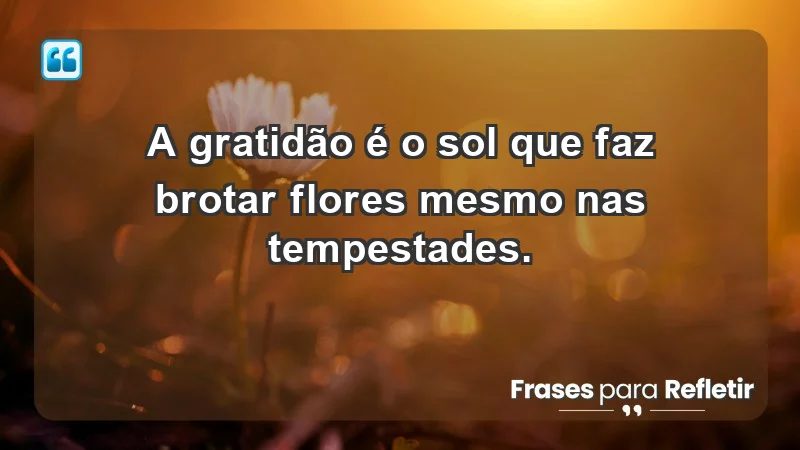 - A gratidão é o sol que faz brotar flores mesmo nas tempestades.