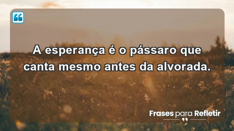 - A esperança é o pássaro que canta mesmo antes da alvorada.