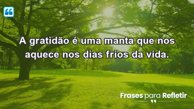 - A gratidão é uma manta que nos aquece nos dias frios da vida.