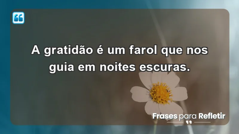 - A gratidão é um farol que nos guia em noites escuras.