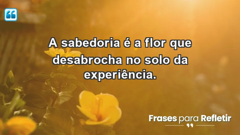 - A sabedoria é a flor que desabrocha no solo da experiência.