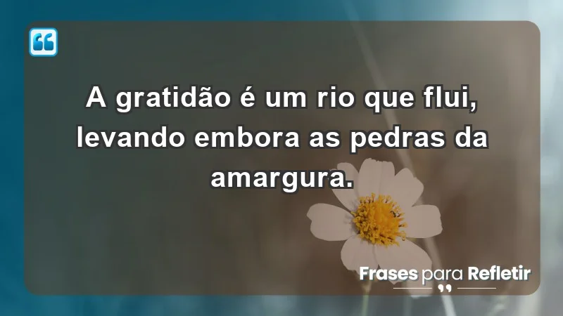 - A gratidão é um rio que flui, levando embora as pedras da amargura.