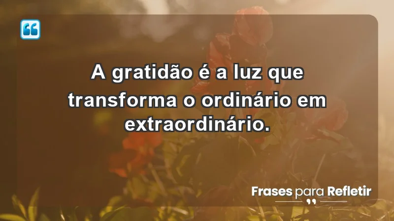 - A gratidão é a luz que transforma o ordinário em extraordinário.