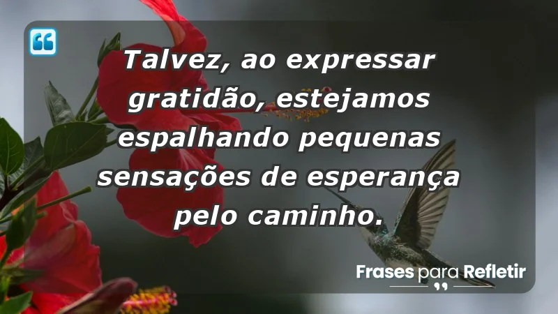 Para inspirar a gratidão diária - Talvez, ao expressar gratidão, estejamos espalhando pequenas sensações de esperança pelo caminho.