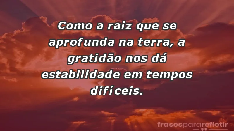 Para inspirar a gratidão diária - Como a raiz que se aprofunda na terra, a gratidão nos dá estabilidade em tempos difíceis.