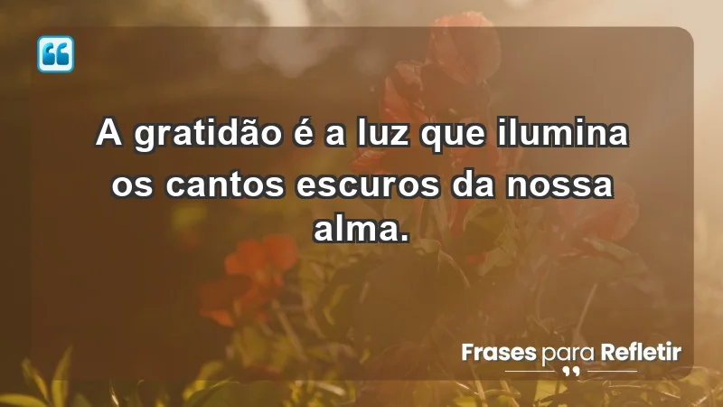 - A gratidão é a luz que ilumina os cantos escuros da nossa alma.