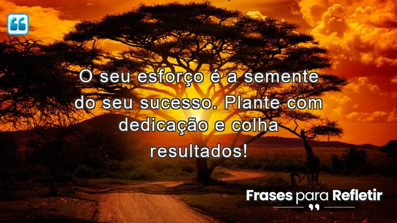 Mensagens de incentivo no trabalho: O esforço é a chave para o sucesso.