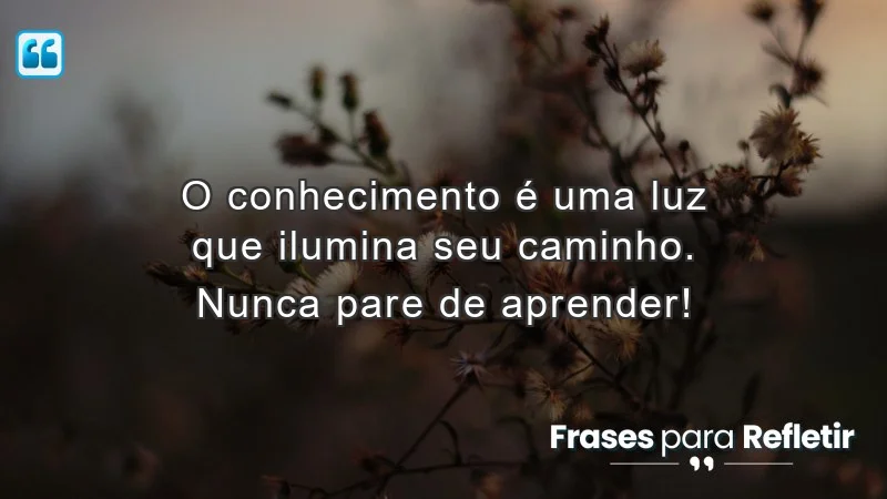 Mensagens de incentivo para alunos sobre a importância do conhecimento e aprendizado contínuo.