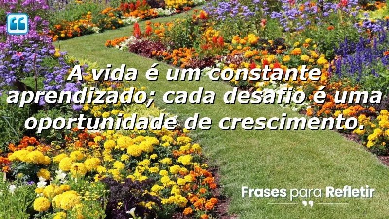 A vida é um constante aprendizado; cada desafio é uma oportunidade de crescimento.