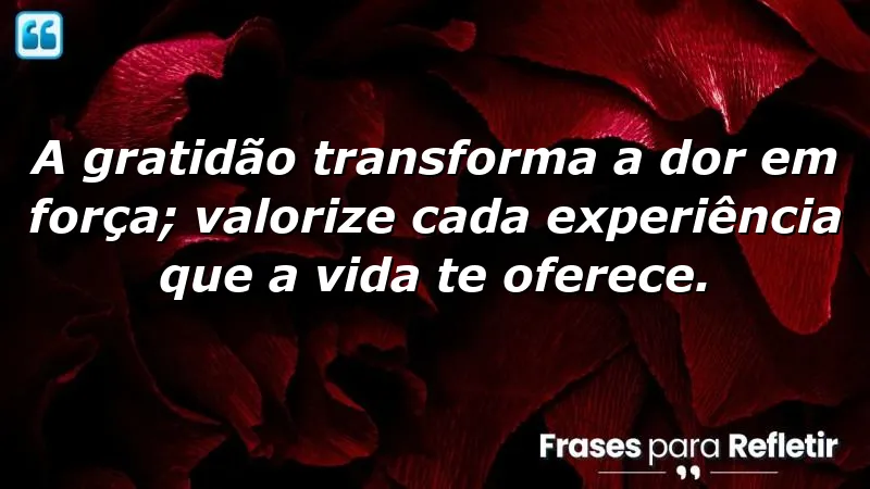 A gratidão transforma a dor em força; valorize cada experiência que a vida te oferece.