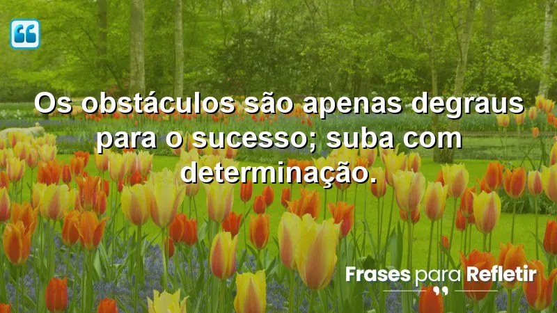 Mensagens de Superação e Motivação: Transformando obstáculos em degraus para o sucesso.