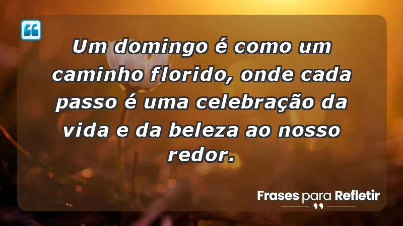 - Um domingo é como um caminho florido, onde cada passo é uma celebração da vida e da beleza ao nosso redor.