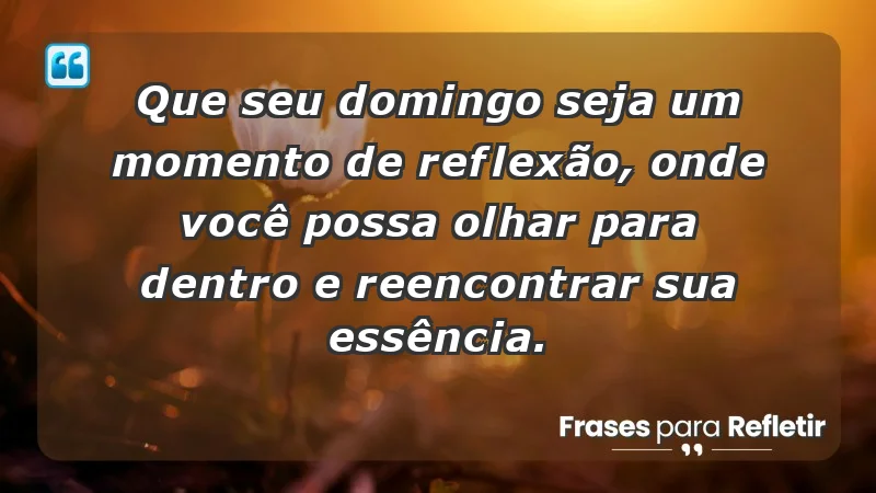 - Que seu domingo seja um momento de reflexão, onde você possa olhar para dentro e reencontrar sua essência.