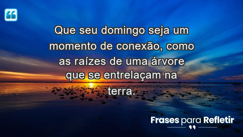 - Que seu domingo seja um momento de conexão, como as raízes de uma árvore que se entrelaçam na terra.