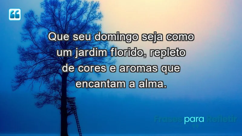 - Que seu domingo seja como um jardim florido, repleto de cores e aromas que encantam a alma.