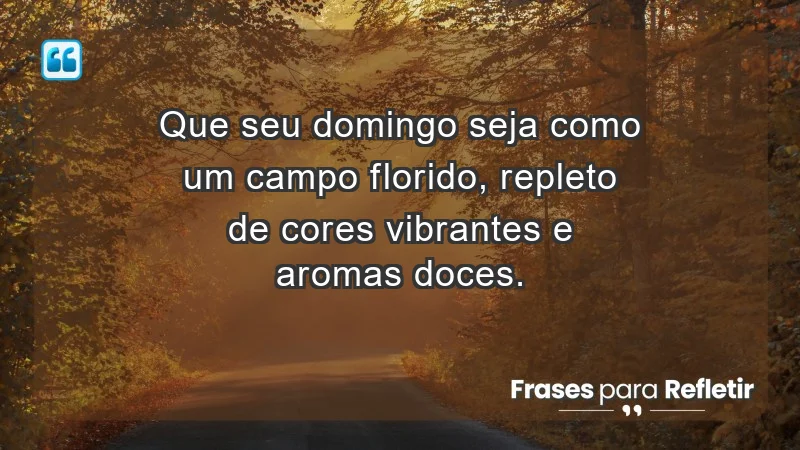 - Que seu domingo seja como um campo florido, repleto de cores vibrantes e aromas doces.