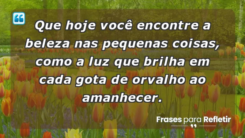 - Que hoje você encontre a beleza nas pequenas coisas, como a luz que brilha em cada gota de orvalho ao amanhecer.