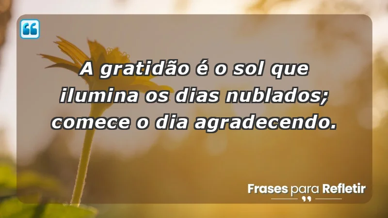 - A gratidão é o sol que ilumina os dias nublados; comece o dia agradecendo.