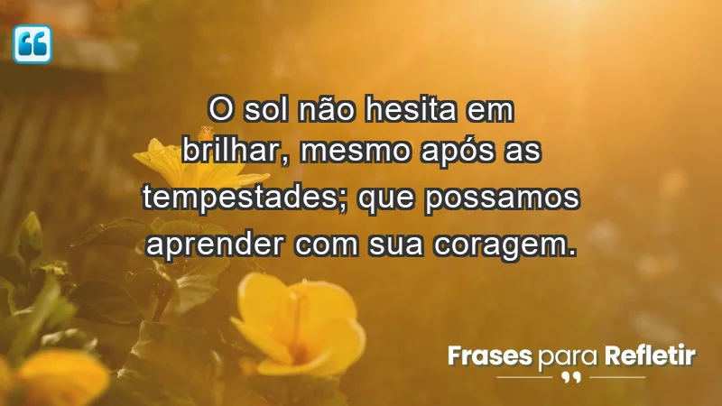 - O sol não hesita em brilhar, mesmo após as tempestades; que possamos aprender com sua coragem.