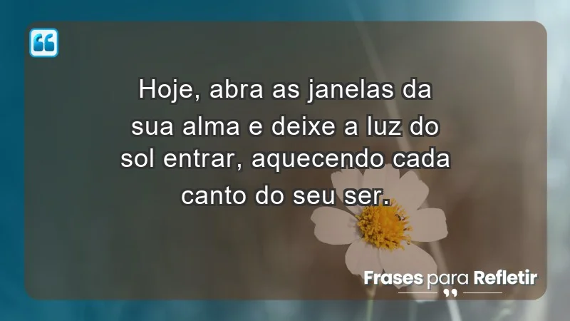 - Hoje, abra as janelas da sua alma e deixe a luz do sol entrar, aquecendo cada canto do seu ser.