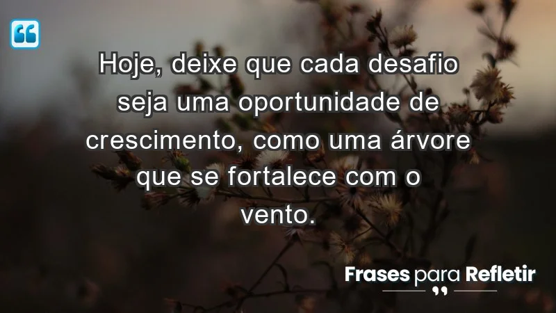 - Hoje, deixe que cada desafio seja uma oportunidade de crescimento, como uma árvore que se fortalece com o vento.