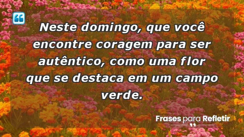 - Neste domingo, que você encontre coragem para ser autêntico, como uma flor que se destaca em um campo verde.