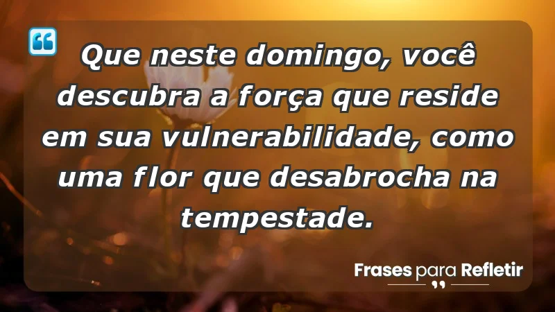 - Que neste domingo, você descubra a força que reside em sua vulnerabilidade, como uma flor que desabrocha na tempestade.