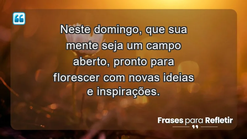 - Neste domingo, que sua mente seja um campo aberto, pronto para florescer com novas ideias e inspirações.