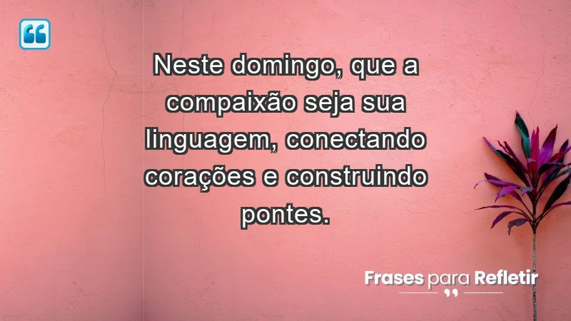 - Neste domingo, que a compaixão seja sua linguagem, conectando corações e construindo pontes.