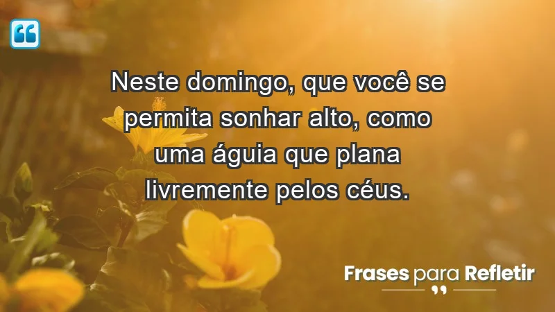 - Neste domingo, que você se permita sonhar alto, como uma águia que plana livremente pelos céus.