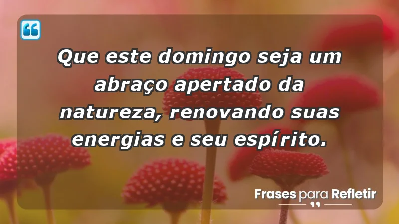 - Que este domingo seja um abraço apertado da natureza, renovando suas energias e seu espírito.