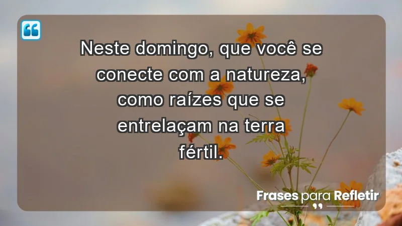 - Neste domingo, que você se conecte com a natureza, como raízes que se entrelaçam na terra fértil.