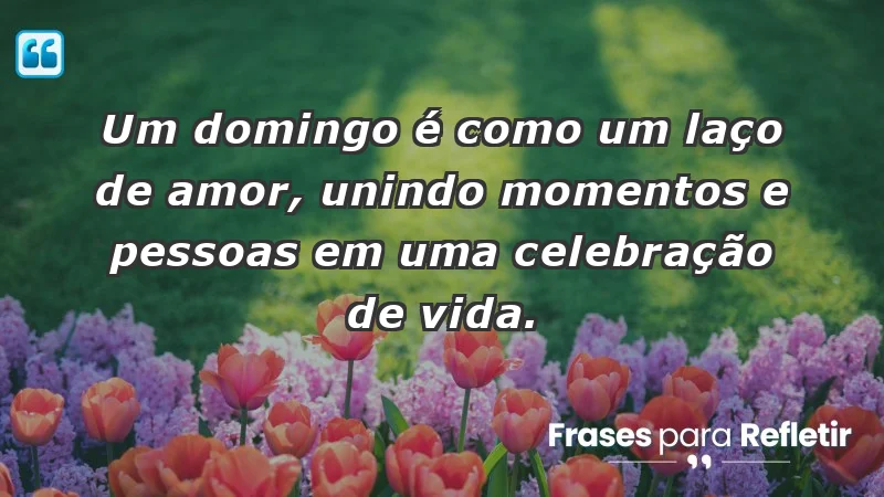 - Um domingo é como um laço de amor, unindo momentos e pessoas em uma celebração de vida.