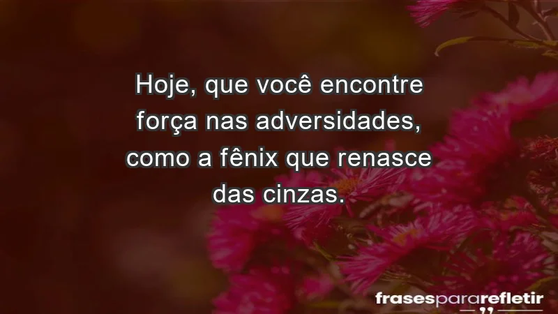 - Hoje, que você encontre força nas adversidades, como a fênix que renasce das cinzas.