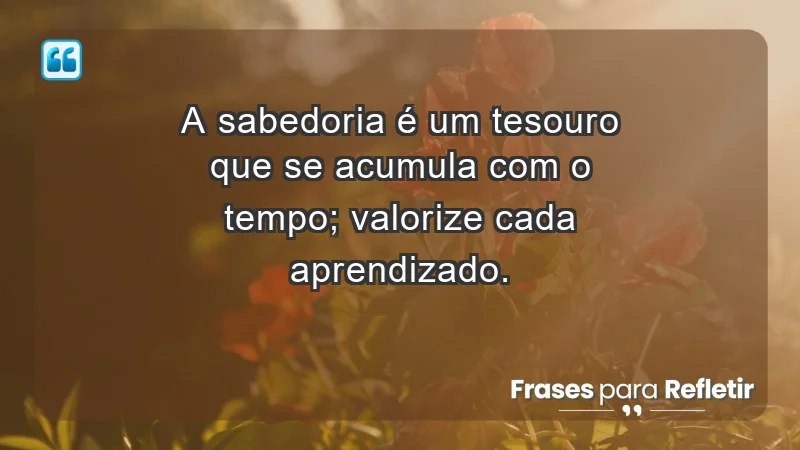 - A sabedoria é um tesouro que se acumula com o tempo; valorize cada aprendizado.