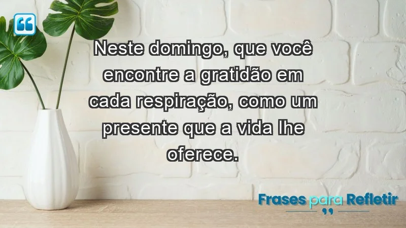 - Neste domingo, que você encontre a gratidão em cada respiração, como um presente que a vida lhe oferece.