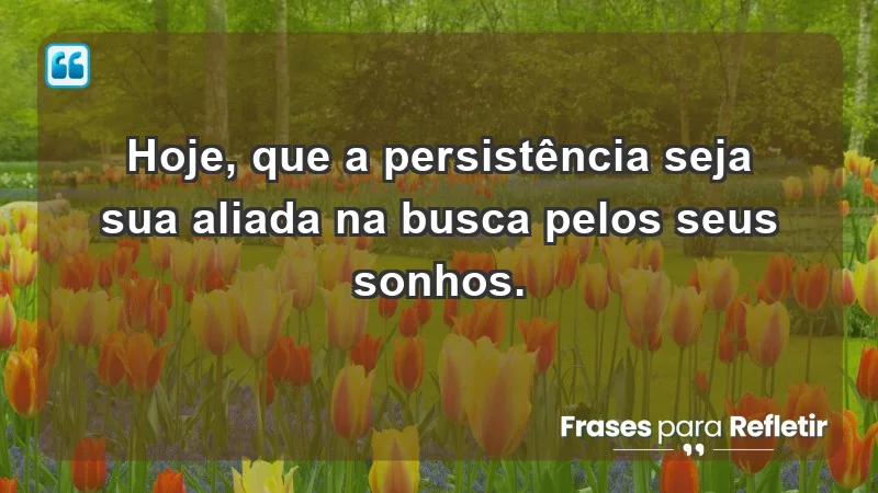 - Hoje, que a persistência seja sua aliada na busca pelos seus sonhos.