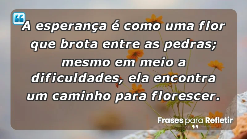 - A esperança é como uma flor que brota entre as pedras; mesmo em meio a dificuldades, ela encontra um caminho para florescer.