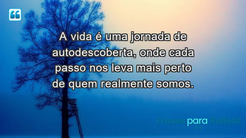 - A vida é uma jornada de autodescoberta, onde cada passo nos leva mais perto de quem realmente somos.