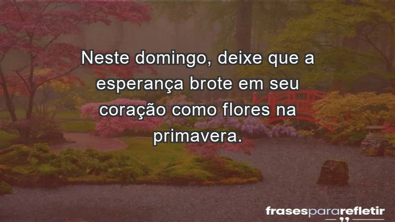 - Neste domingo, deixe que a esperança brote em seu coração como flores na primavera.